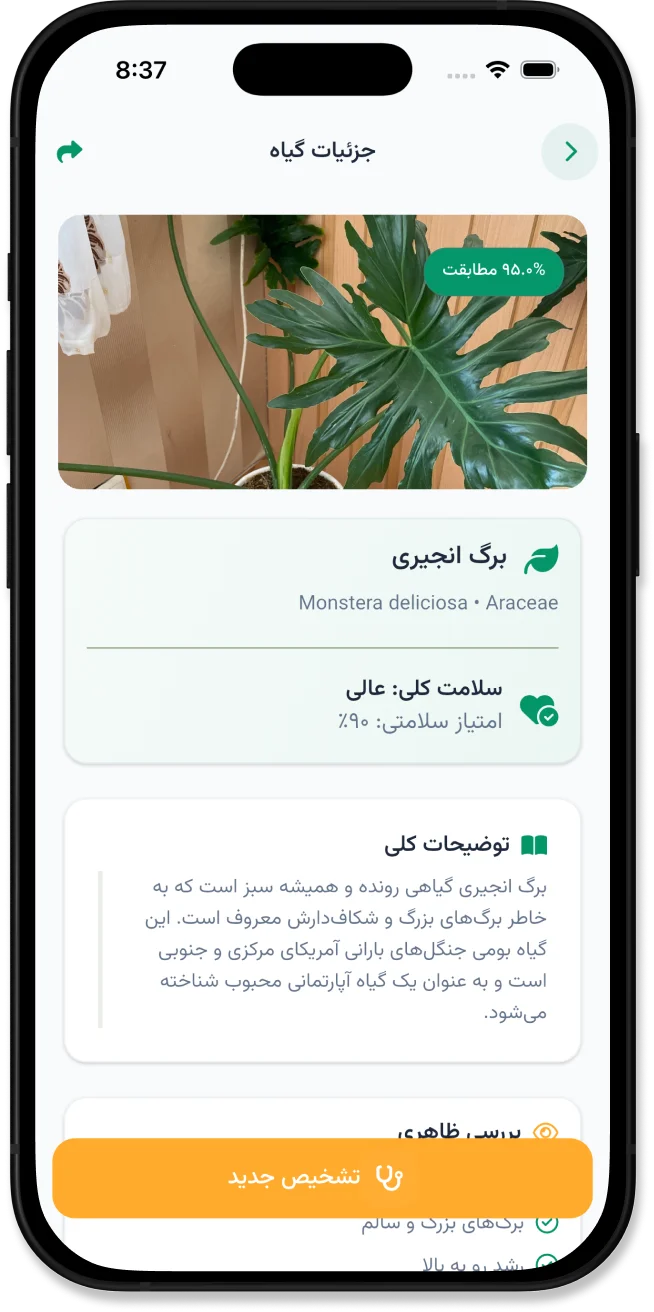 پیش نمایش گلیار